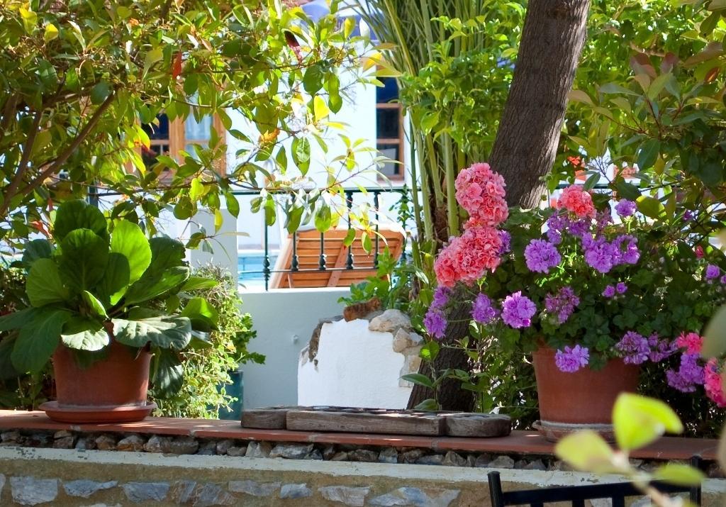 Hotel Alcadima 란야론 외부 사진